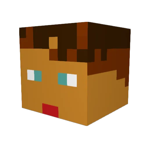 Paul13 Minecraft avatar head, 3D render