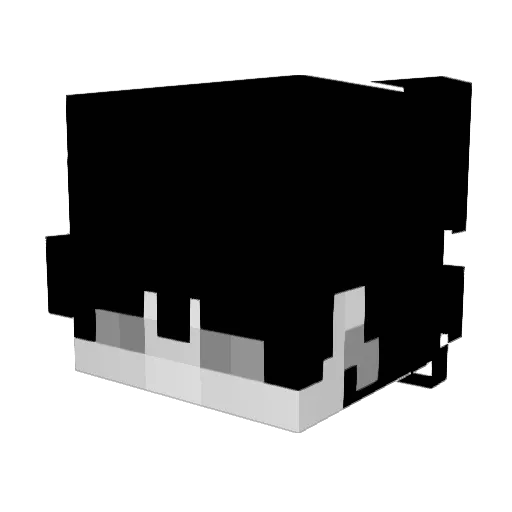 Paul1tto Minecraft avatar head, 3D render