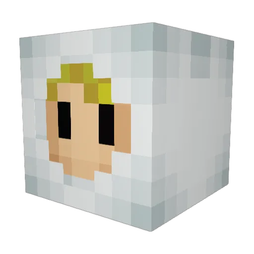 Paul4hoe Minecraft avatar head, 3D render