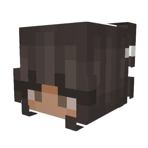 Paul4ir Minecraft avatar head, 3D render
