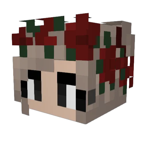 PaulHasstJorina Minecraft avatar head, 3D render