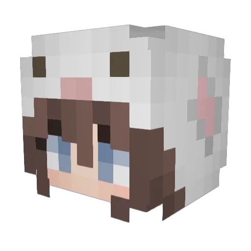 PaulTrannn Minecraft avatar head, 3D render