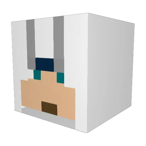 PaulZelda Minecraft avatar head, 3D render