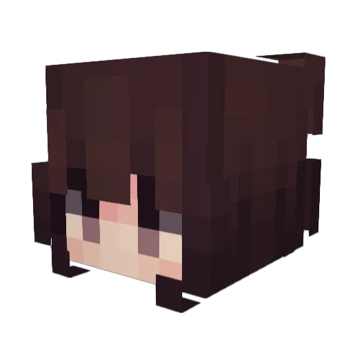 Paul_17_ Minecraft avatar head, 3D render