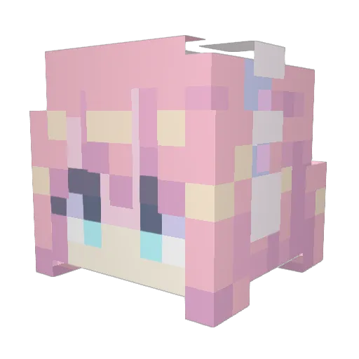 Paul_1998_ Minecraft avatar head, 3D render