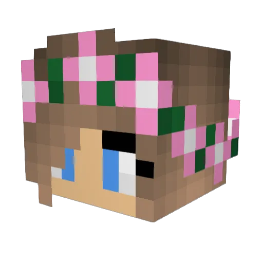 Paula12345 Minecraft avatar head, 3D render