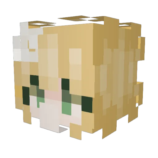 Paula360 Minecraft avatar head, 3D render