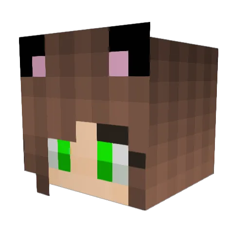 Paula_Geh Minecraft avatar head, 3D render