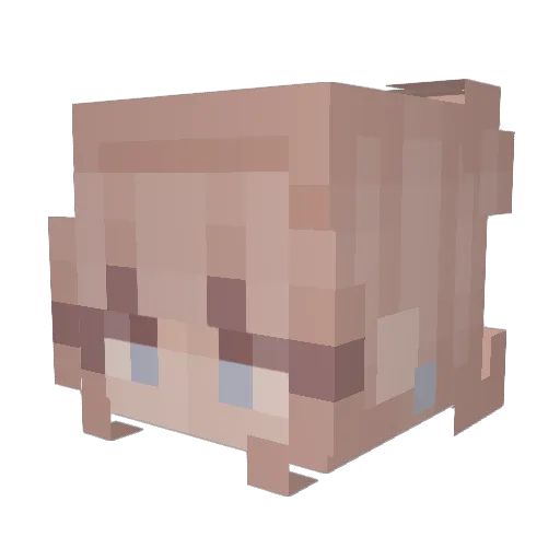 Paulabella5 Minecraft avatar head, 3D render