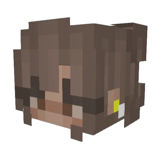 Paulala06 Minecraft avatar head, 3D render