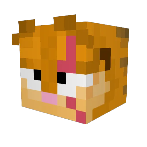 Paulbertz Minecraft avatar head, 3D render