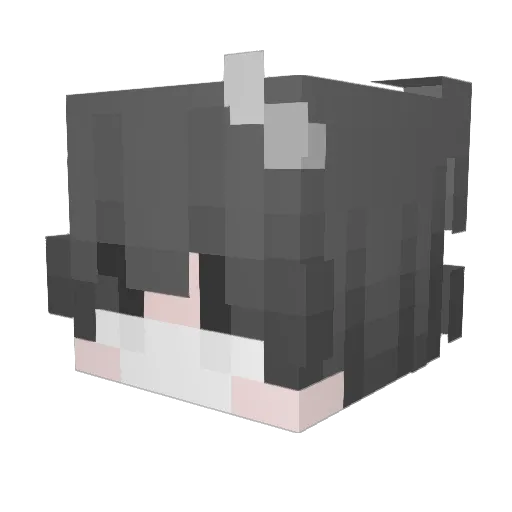 PaulcraftYT_ Minecraft avatar head, 3D render