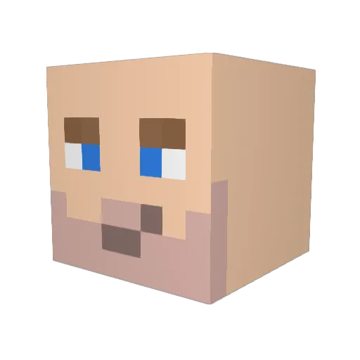 Paulemeister06 Minecraft avatar head, 3D render
