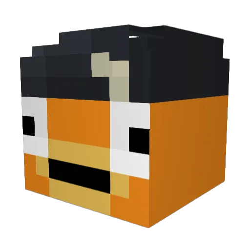 Paulenator2012 Minecraft avatar head, 3D render