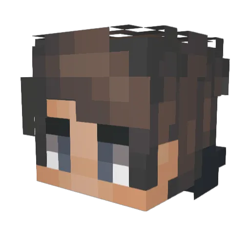 Pauleyy_ Minecraft avatar head, 3D render