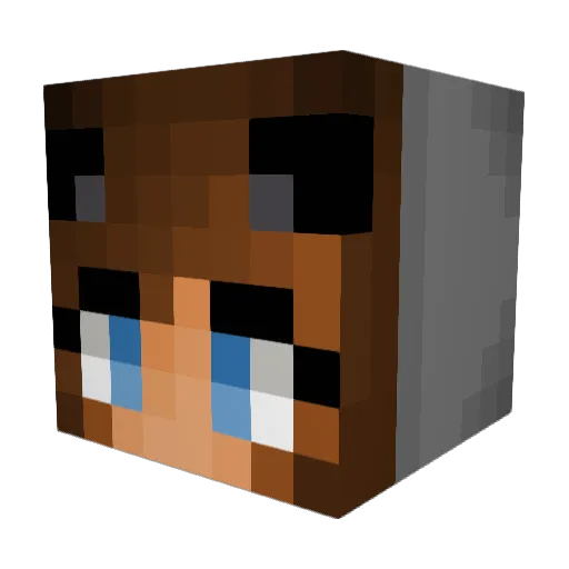 Pauli2425 Minecraft avatar head, 3D render