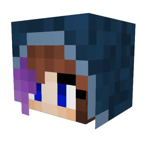 Pauli2711 Minecraft avatar head, 3D render
