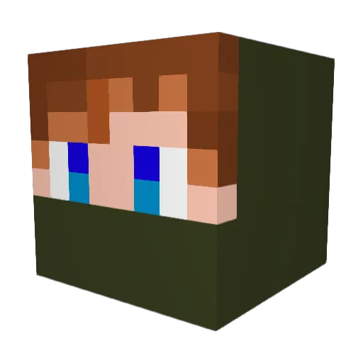 Pauli30 Minecraft avatar head, 3D render