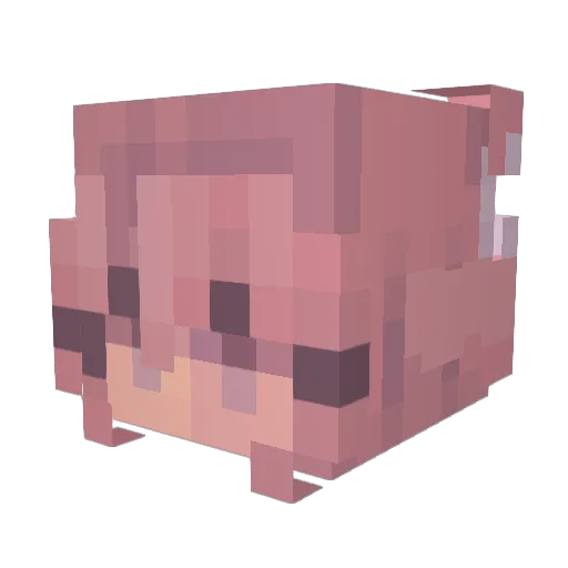 PauliHiero Minecraft avatar head, 3D render