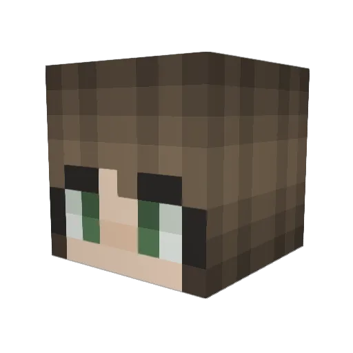 PauliPalette Minecraft avatar head, 3D render