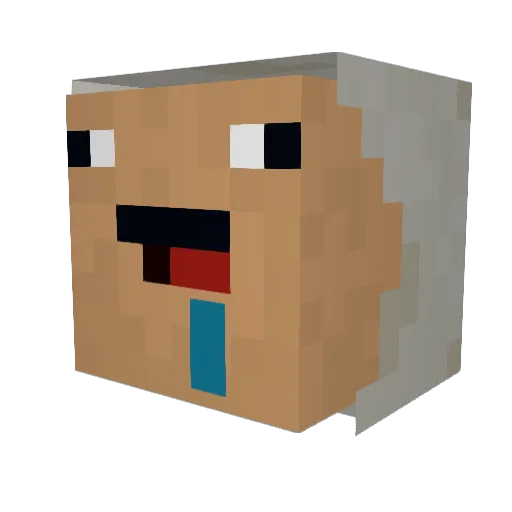 Pauli_Mauli Minecraft avatar head, 3D render
