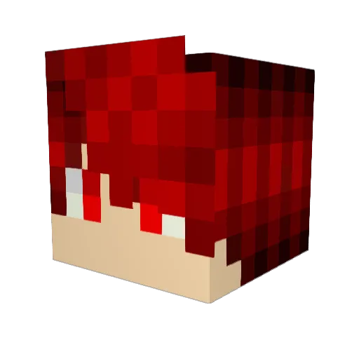 Paulin1er Minecraft avatar head, 3D render
