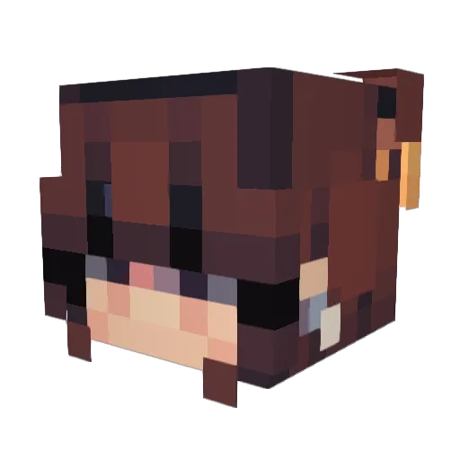 PaulinaLad Minecraft avatar head, 3D render