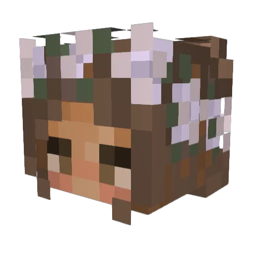 Paulina_ Minecraft avatar head, 3D render