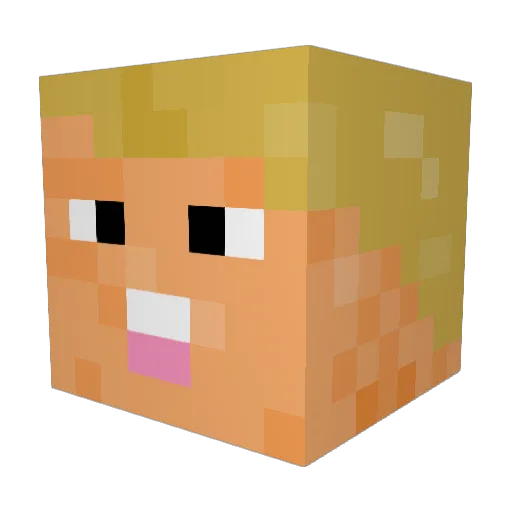 Paulinator__ Minecraft avatar head, 3D render