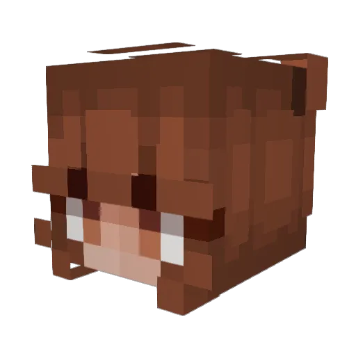 Pauline01 Minecraft avatar head, 3D render