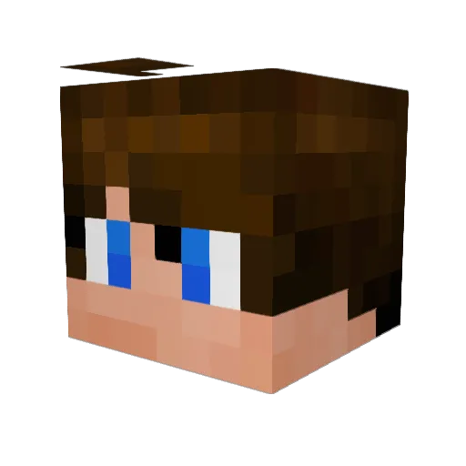 Paulinsko Minecraft avatar head, 3D render
