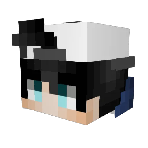 Paulis_PVP Minecraft avatar head, 3D render