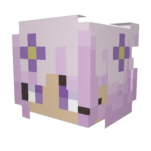 Paulitkaa Minecraft avatar head, 3D render