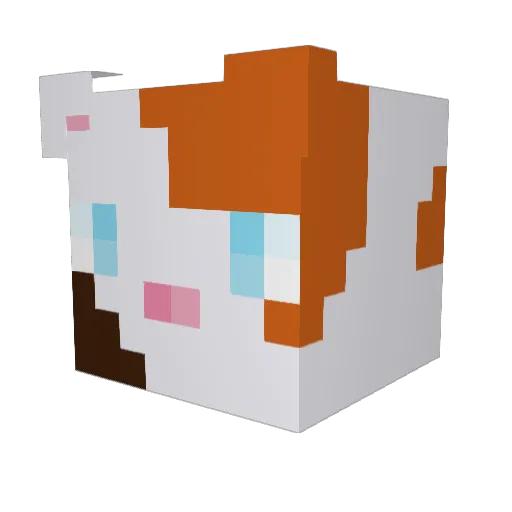 Paulixx00 Minecraft avatar head, 3D render