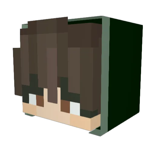 Paulleg Minecraft avatar head, 3D render