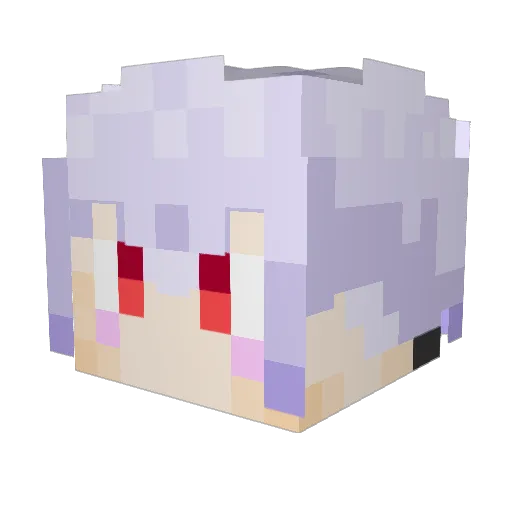 Paulo2525 Minecraft avatar head, 3D render