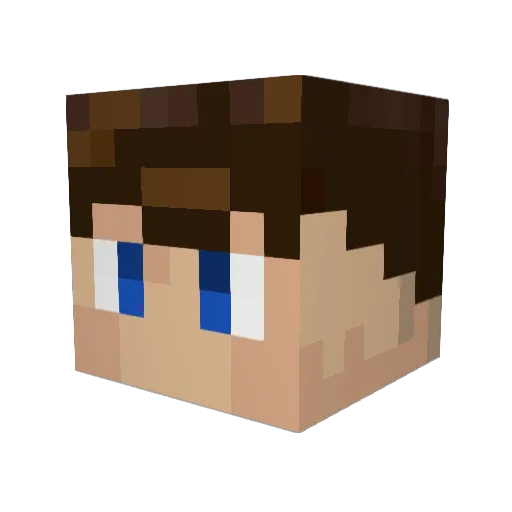 PauloFilho1717 Minecraft avatar head, 3D render
