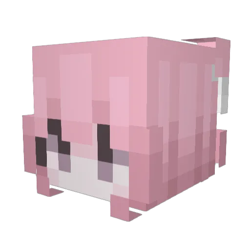 PauloSR Minecraft avatar head, 3D render
