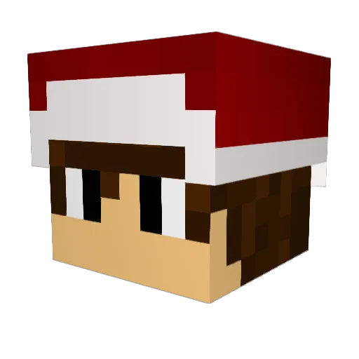 Paulo_odd Minecraft avatar head, 3D render