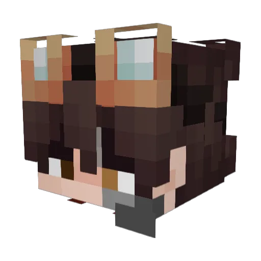 Paulocraft76 Minecraft avatar head, 3D render