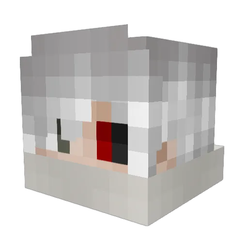 Paulx2001 Minecraft avatar head, 3D render