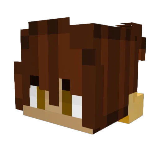 Paulynomials Minecraft avatar head, 3D render