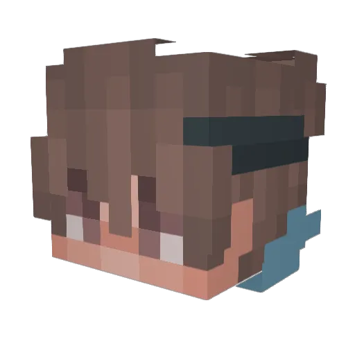Paunu Minecraft avatar head, 3D render