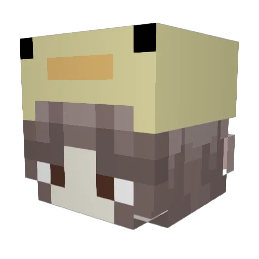 Paupala Minecraft avatar head, 3D render