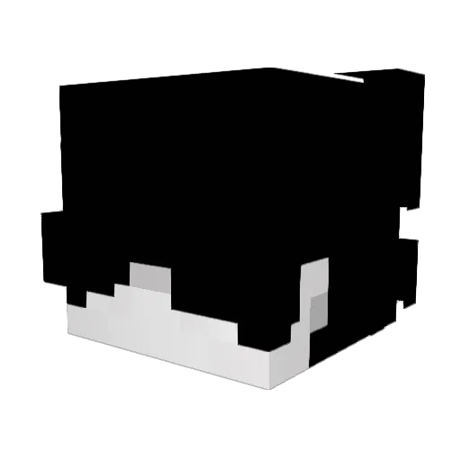 Pauperbeta Minecraft avatar head, 3D render