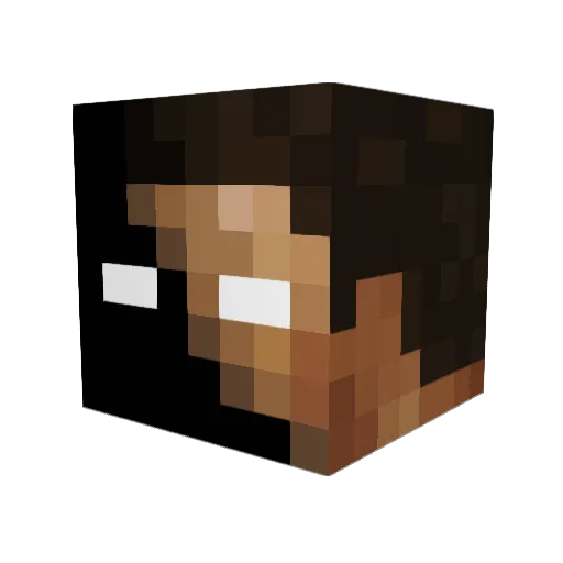 Paupro1000 Minecraft avatar head, 3D render