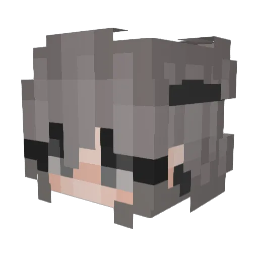 PauulaWarez Minecraft avatar head, 3D render