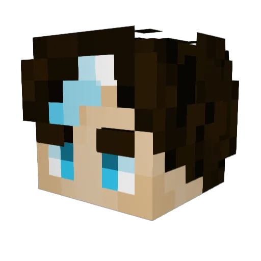 Pauxilian_X Minecraft avatar head, 3D render