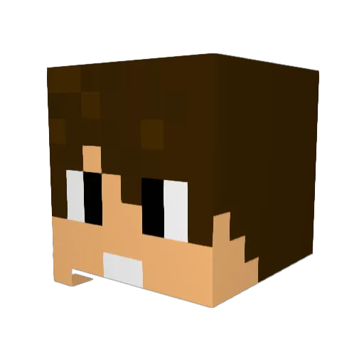 Pavano Minecraft avatar head, 3D render