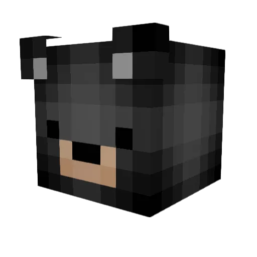 Pavdawg Minecraft avatar head, 3D render